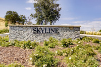 Skyline Sales Environment